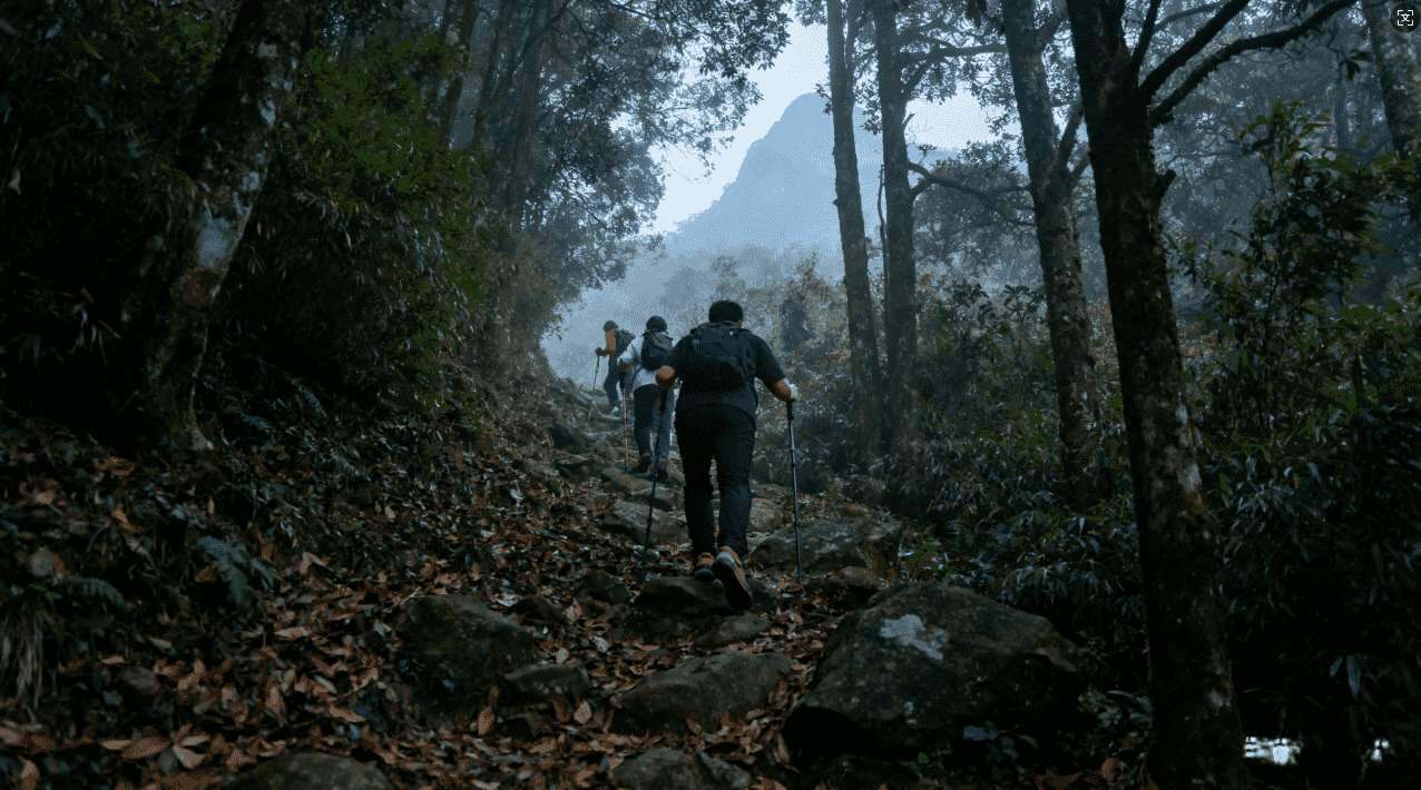 加速器无法打开INS怎么办？详细解决方法推荐